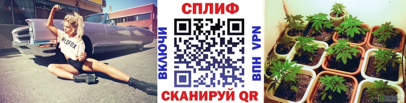Продажа наркотиков Полесск Каннабис  АМФ  Гашиш 