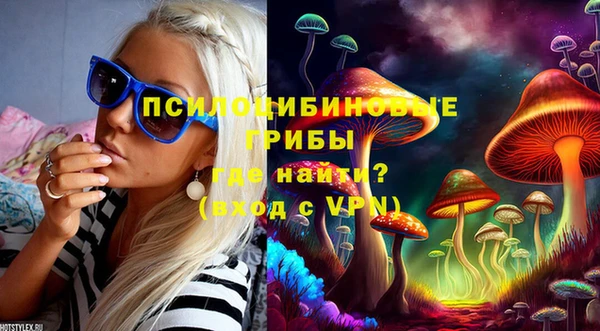 ГАЛЛЮЦИНОГЕННЫЕ ГРИБЫ Гусев