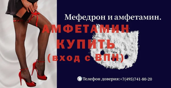 ГАЛЛЮЦИНОГЕННЫЕ ГРИБЫ Гусев