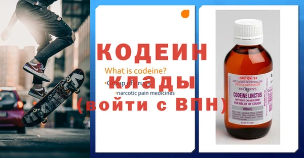 ГАЛЛЮЦИНОГЕННЫЕ ГРИБЫ Гусев