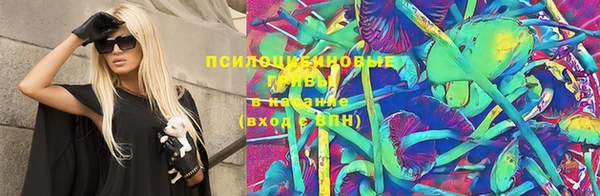 соль ск Гусь-Хрустальный