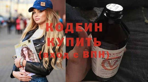 ГАЛЛЮЦИНОГЕННЫЕ ГРИБЫ Гусев