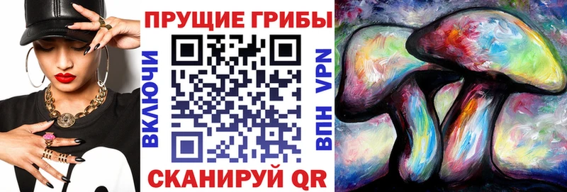 цены наркотик  Полесск  Галлюциногенные грибы GOLDEN TEACHER 